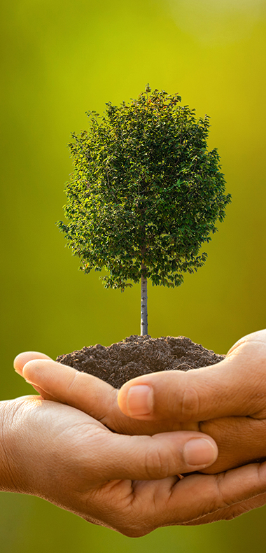 Individual services image